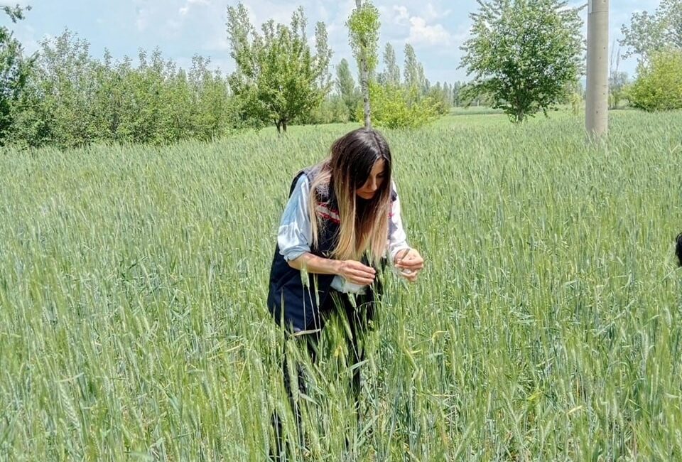 AFYONKARAHİSAR’IN SİNANPAŞA İLÇESİNDE Kİ