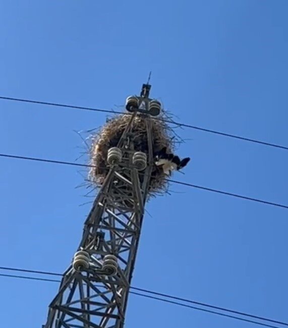 BURDUR’UN BUCAK İLÇESİNDE ELEKTRİK