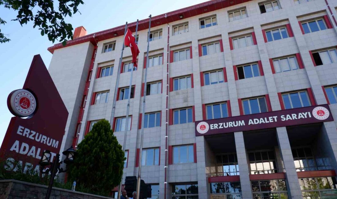 ERZURUM ADLİYESİ 2023 FAALİYET