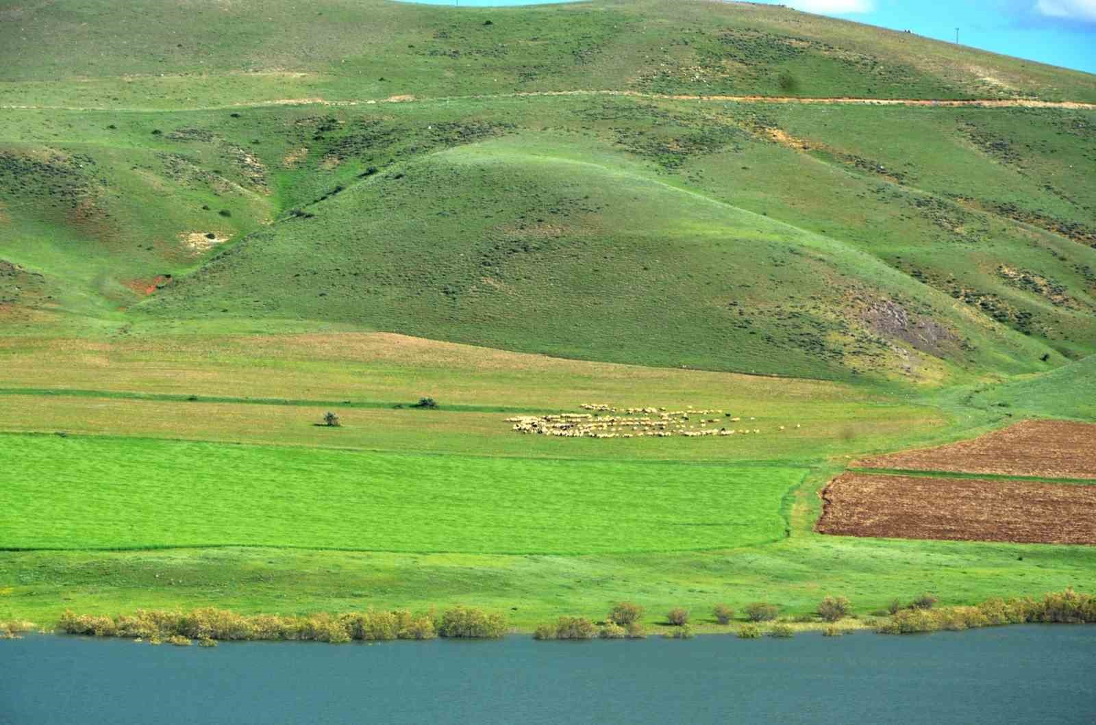 “Erzurum’da süt ürünleri üretimi gelişime açık”