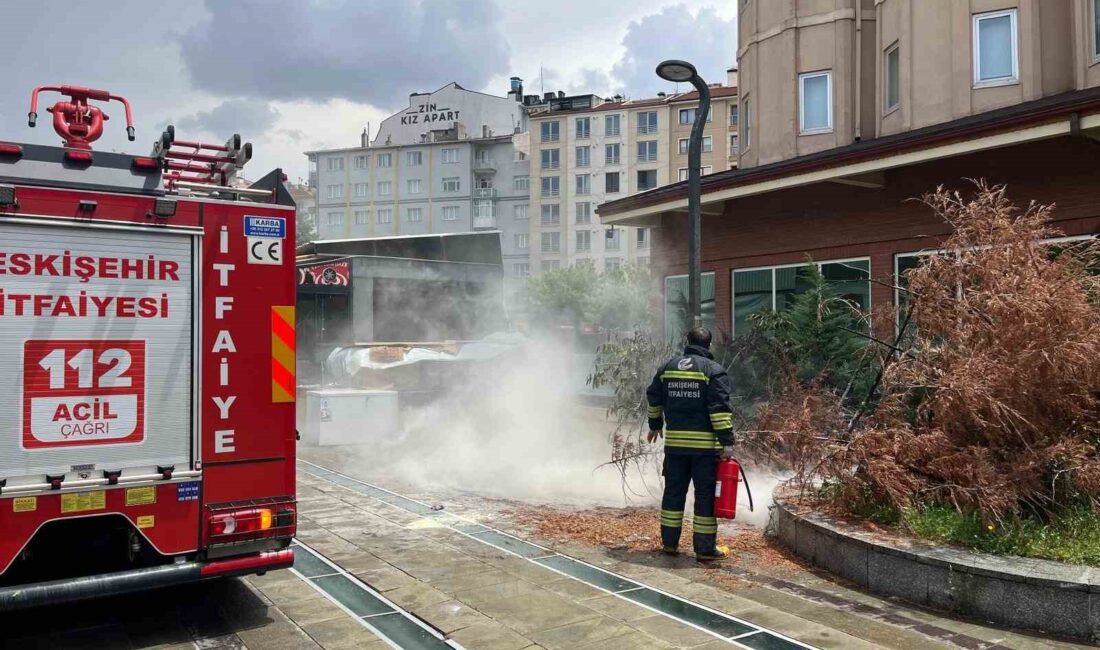 ESKİŞEHİR'DE SOKAK LAMBASI KAYNAKLI