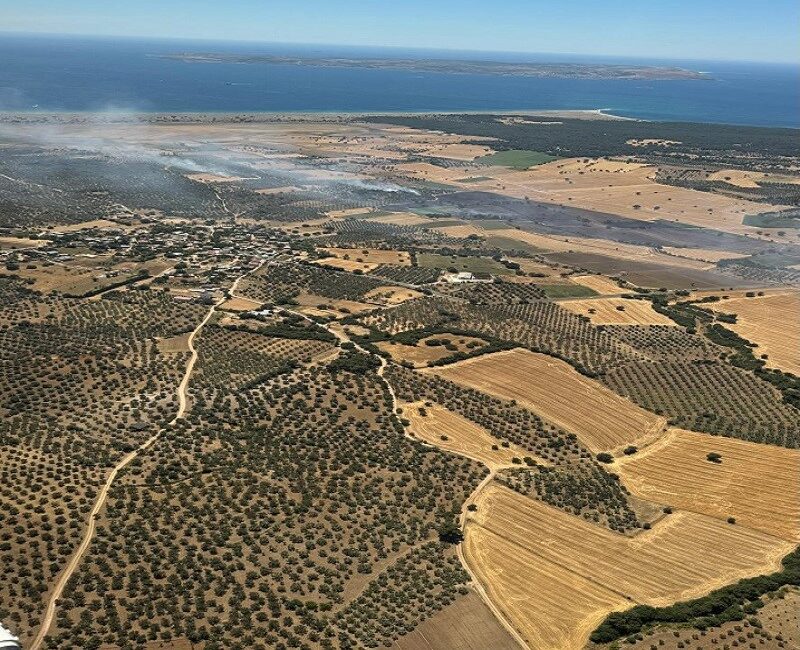 ÇANAKKALE'NİN EZİNE İLÇESİNDE TARIM