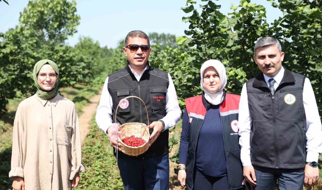 DÜZCE VALİSİ SELÇUK ASLAN,