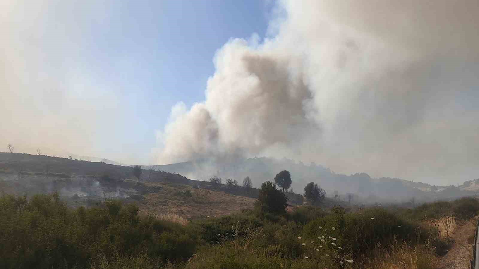 Foça’daki yangının arkasından iki sorumsuz çıktı: Yakalandılar