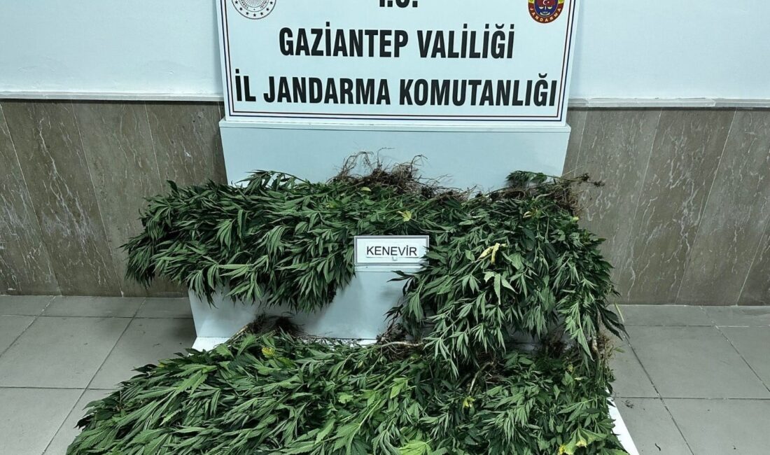 GAZİANTEP'TE JANDARMA EKİPLERİNİN 2