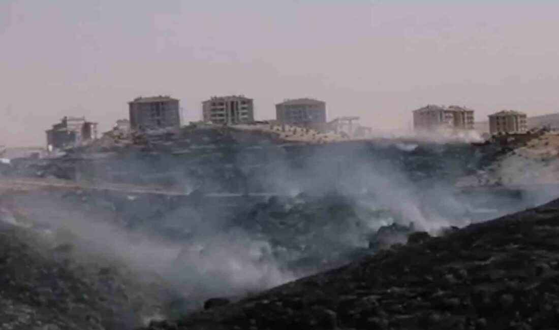 GAZİANTEP’TE KORKUTAN ORMAN YANGINI