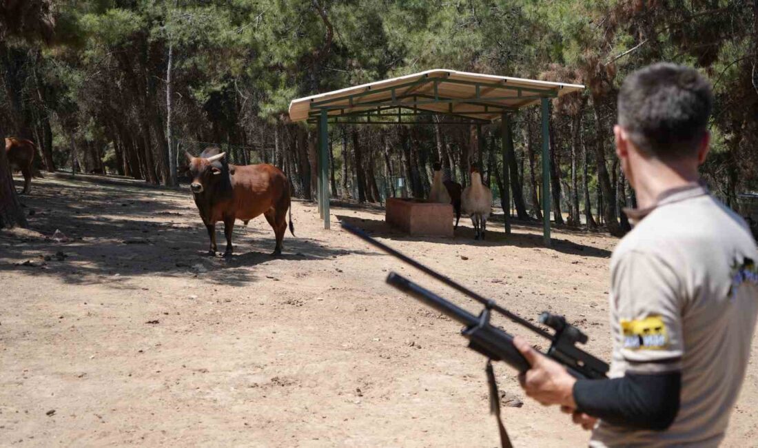 GAZİANTEP'TE KURBAN YAKALAMA TİMİ