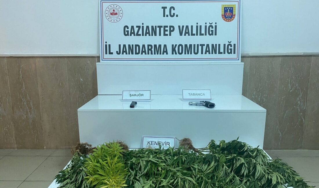 GAZİANTEP'TE JANDARMA EKİPLERİ TARAFINDAN