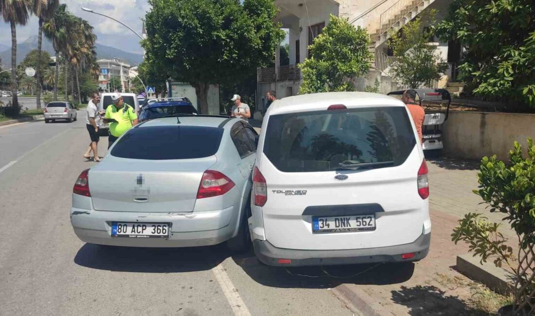 ANTALYA'NIN GAZİPAŞA İLÇESİNDE 3