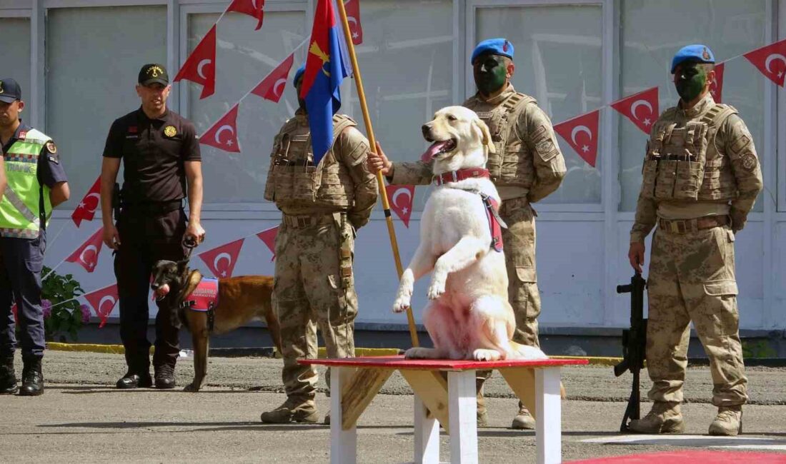 JANDARMA TEŞKİLATI’NIN KURULUŞUNUN 185.