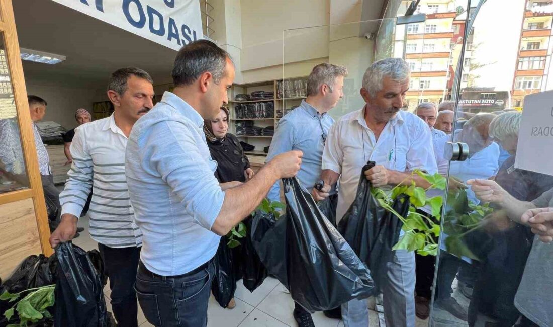 RİZE’NİN GÜNEYSU İLÇESİNDE VATANDAŞLARA