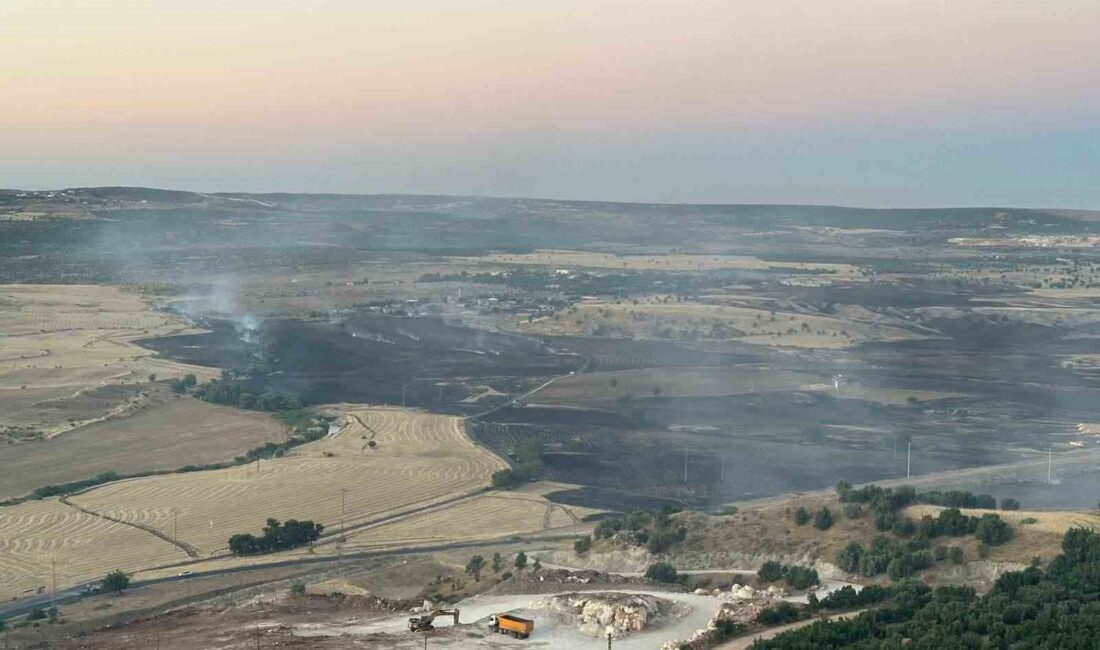 DİYARBAKIR'IN HANİ BELEDİYESİ'NİN ÇÖP