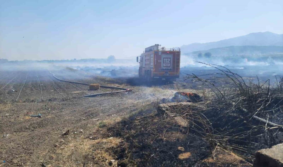 HATAY'DA ANIZ YANGINI SÖNDÜRÜLDÜ