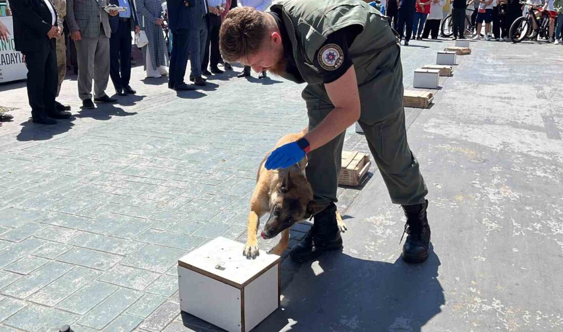 BOLU’DA 26 HAZİRAN ULUSLARARASI