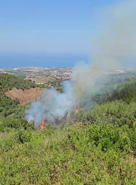 HATAY ARSUZ’DA ÇIKAN YANGINA