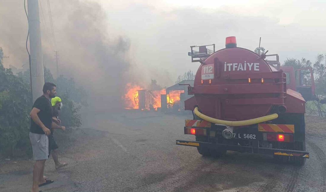 MANAVGAT’IN KIZILAĞAÇ MAHALLESİ’NDE MEYDANA