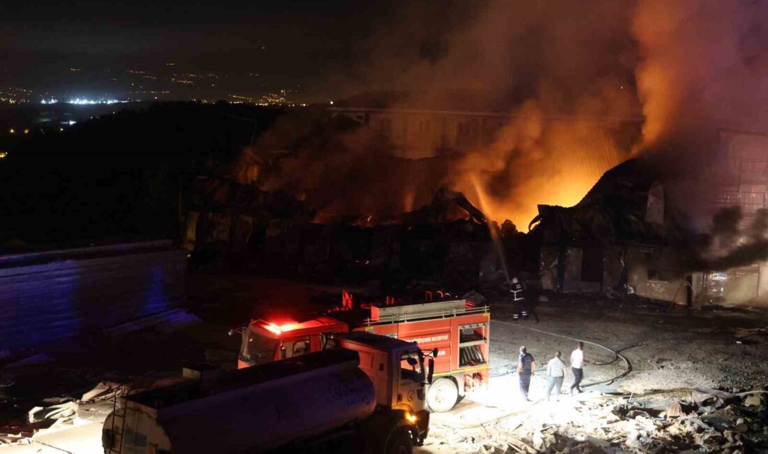 HATAY’DA ŞANTİYE ALANINDA BULUNAN