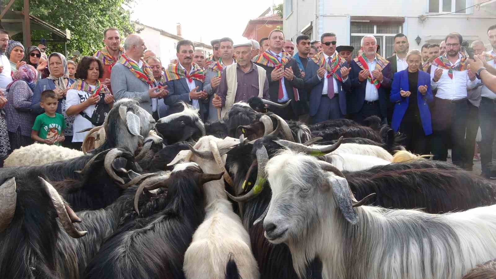 Isparta’da 400 yıldır süren “Geleneksel Kurban İndirme Geleneği” gerçekleştirildi