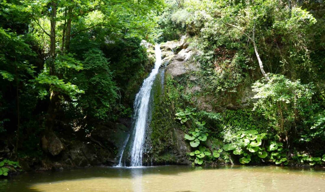 KOCAELİ'NİN DERİNCE İLÇESİNDE BULUNAN