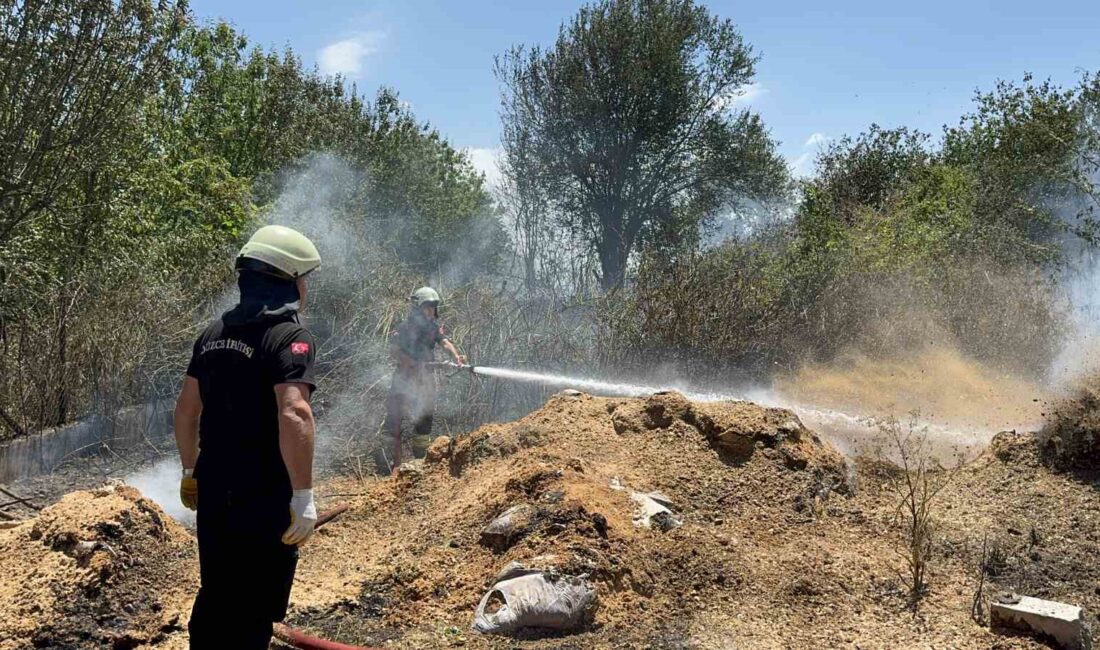 DÜZCE’DE OTLUK ALANDA ÇIKAN