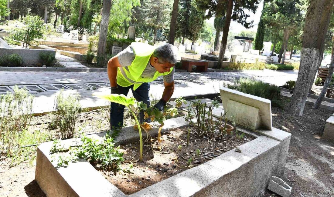 İZMİR BÜYÜKŞEHİR BELEDİYESİ KURBAN