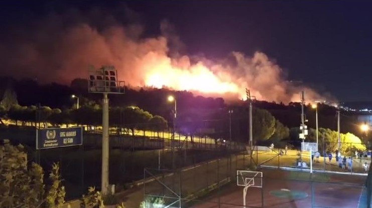 İzmir’de orman yangını