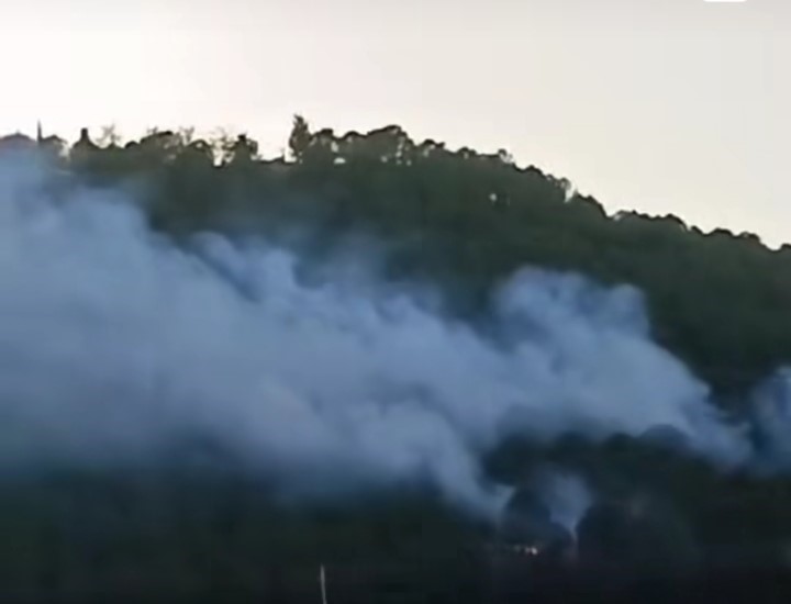 İzmir’de ormanlık alanda çıkan yangın kontrol altında