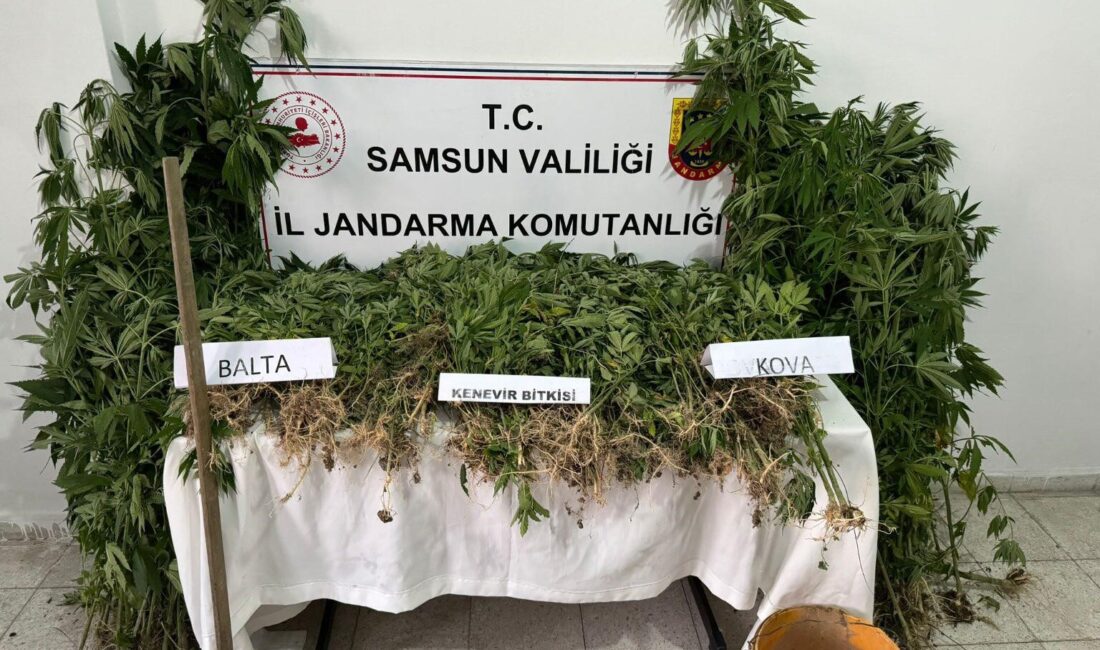 SAMSUN'DA JANDARMA EKİPLERİ 