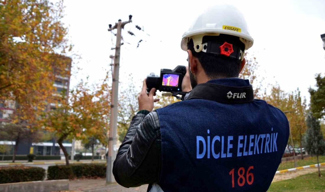 DİCLE ELEKTRİK, YATIRIMLARLA DESTEKLENEREK