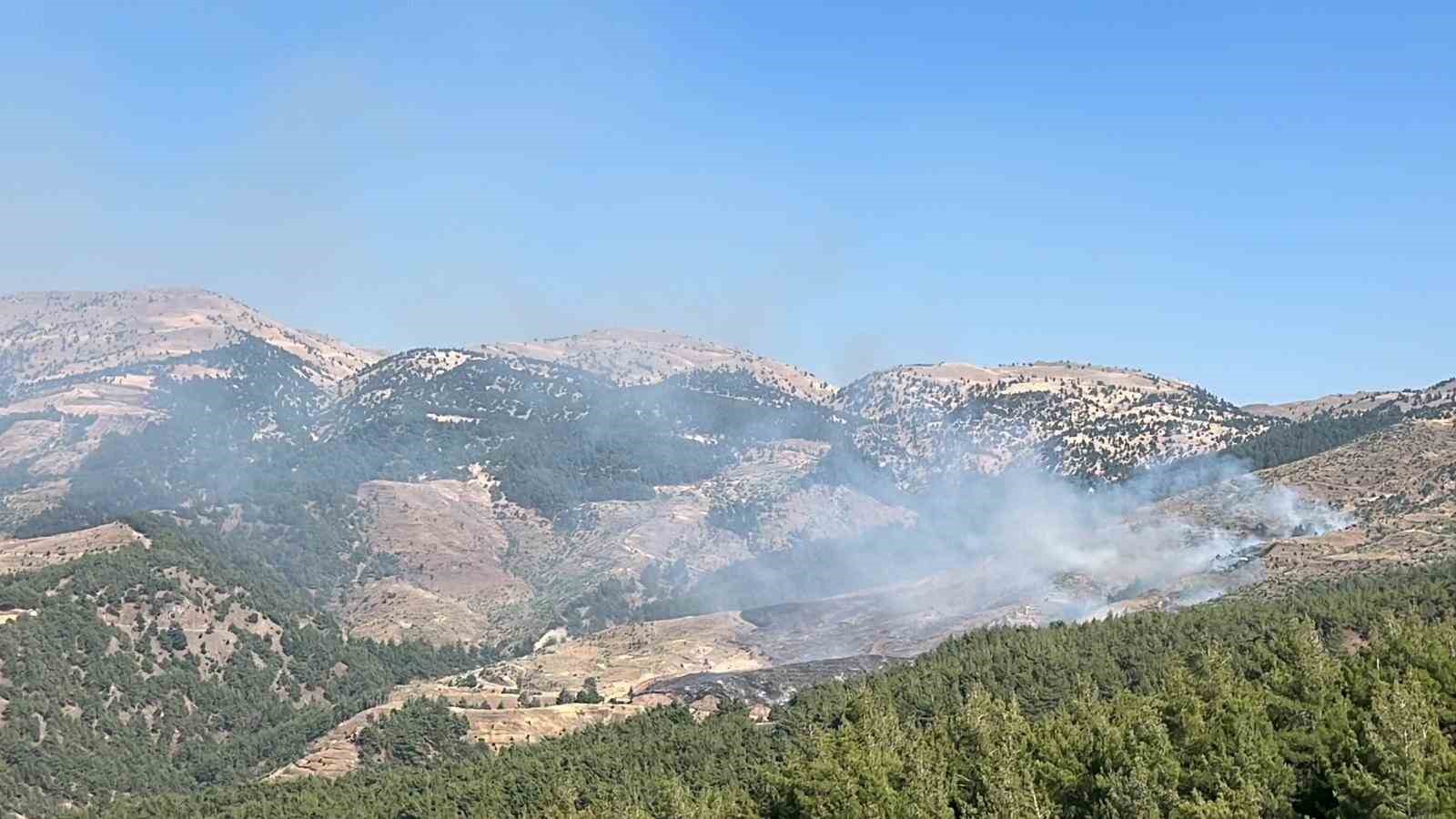 Kahramanmaraş’ta orman yangını: Ekipler müdahale ediyor