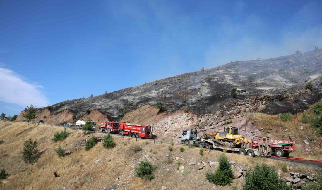 KAHRAMANMARAŞ’TA ÇIKAN ORMAN YANGININA