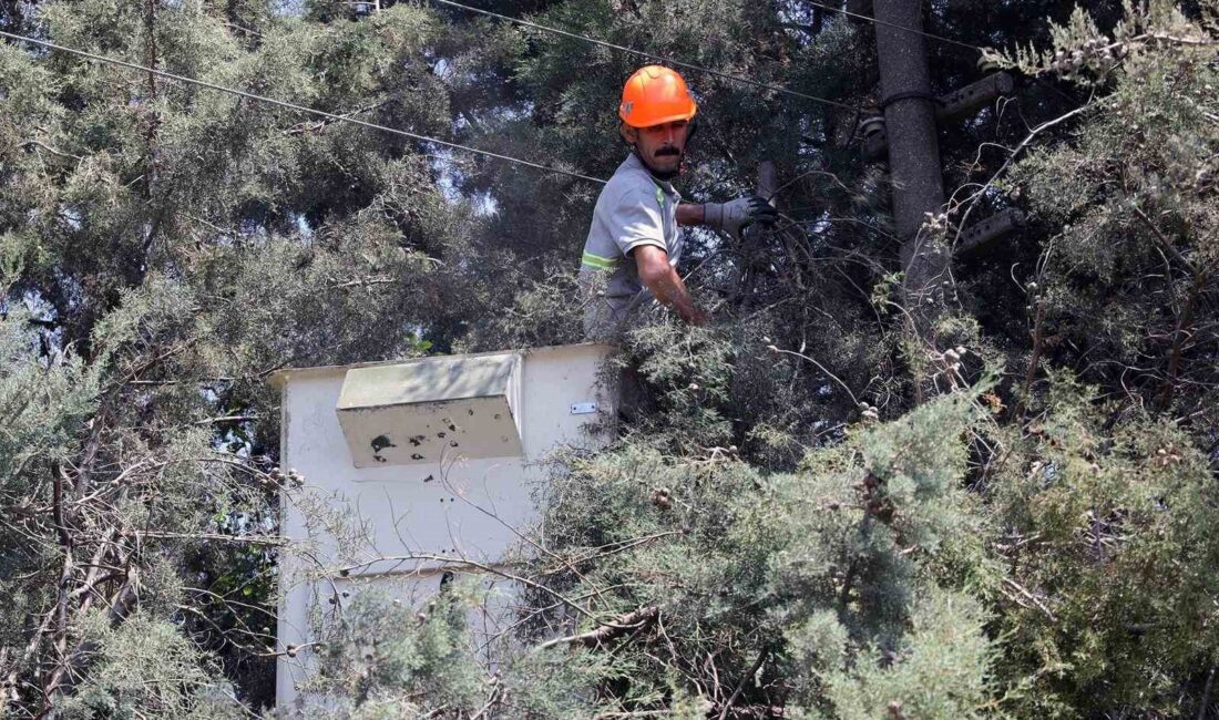 KARABAĞLAR YAYLASI’NDA ÇEVRE DÜZENLEME