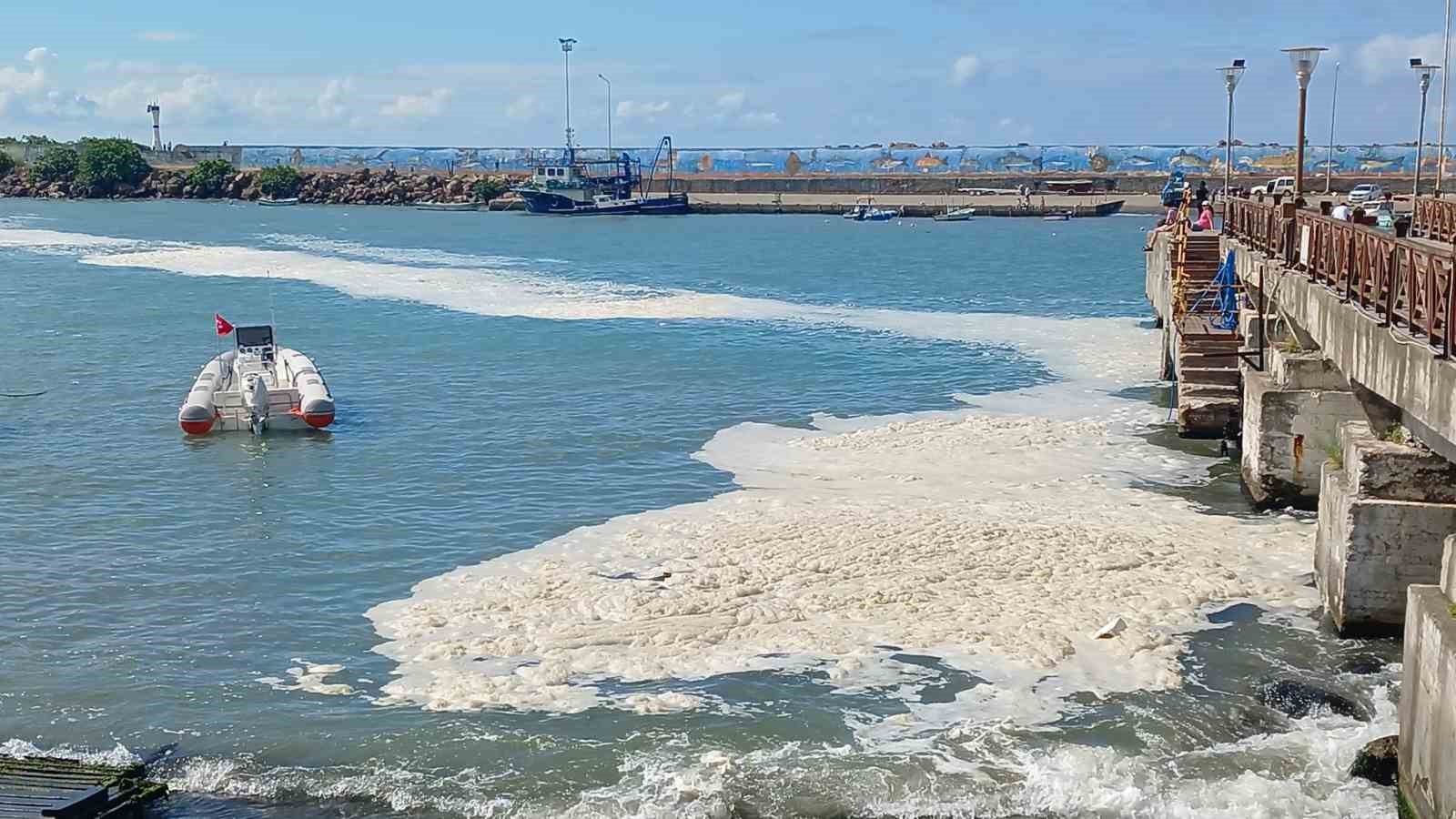 Karadeniz’de müsilaj yayılıyor