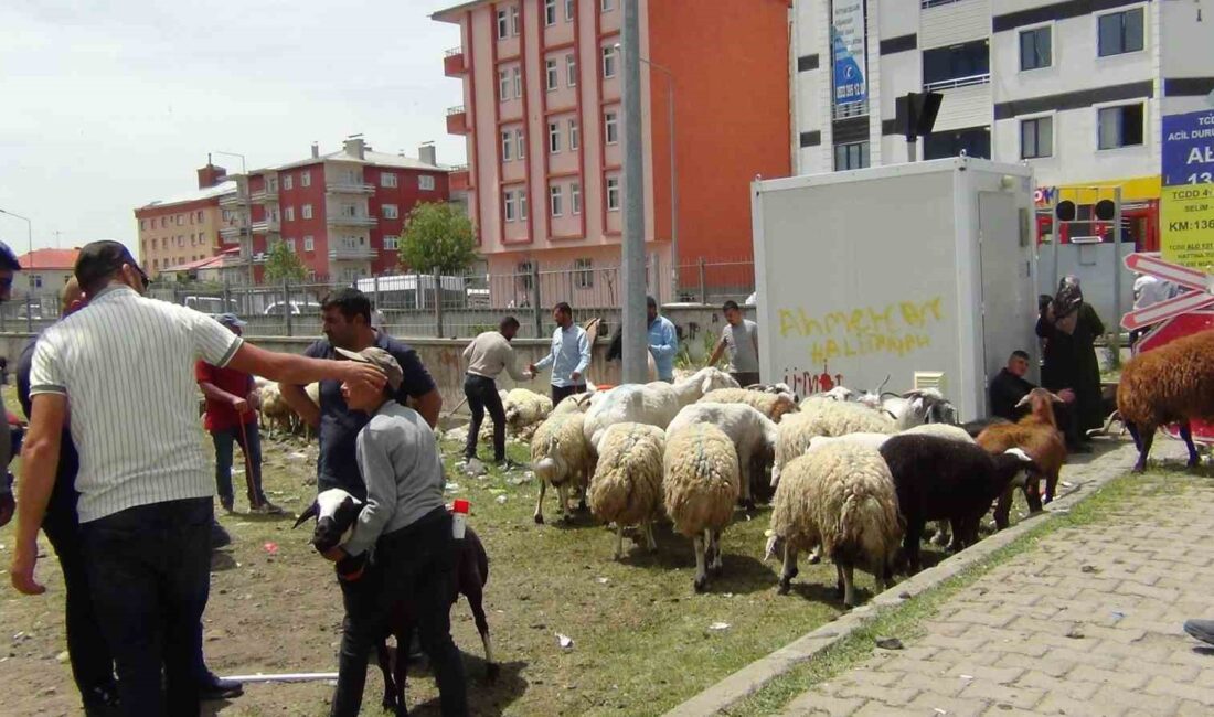 KARS’TA HAYVAN PAZARI’NDA YOĞUNLUK