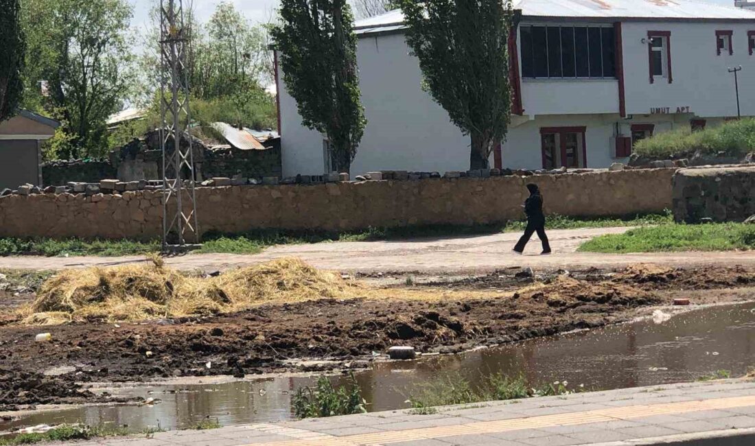 KARS’TA YOL KENARINA DÖKÜLEN