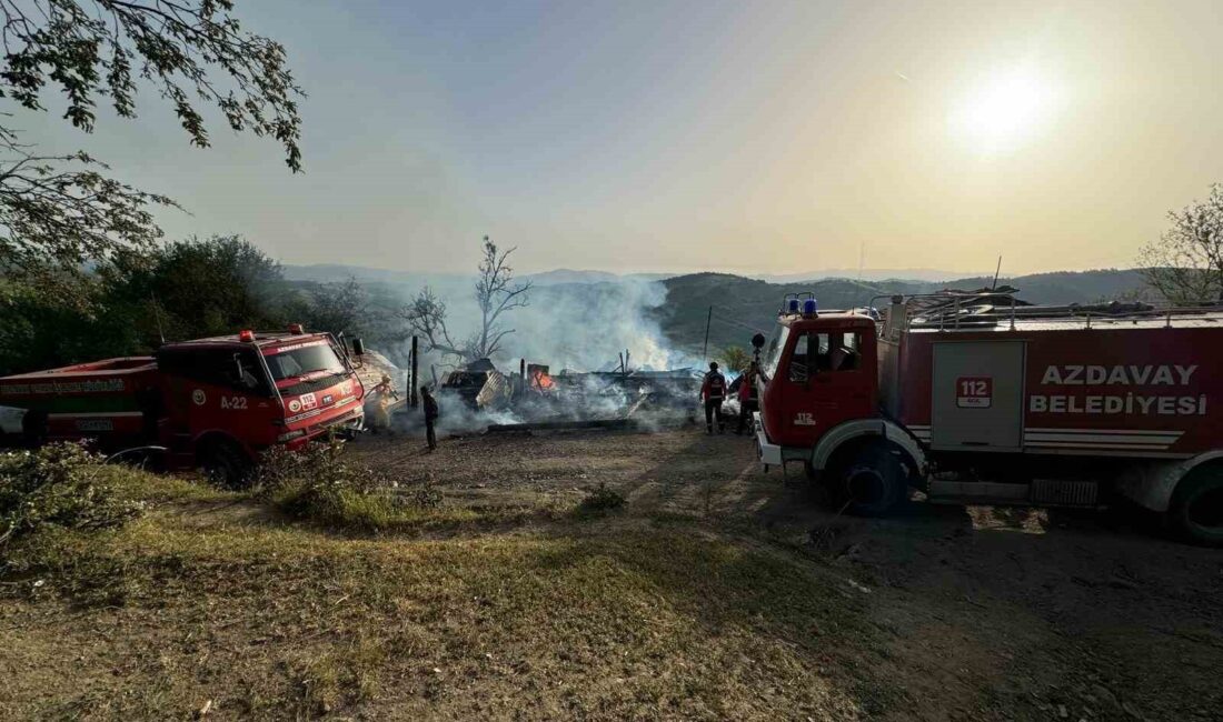 KASTAMONU’NUN AZDAVAY İLÇESİNDE ÇIKAN