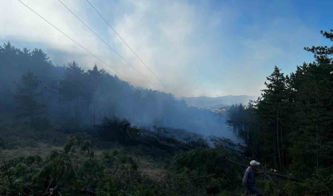 KASTAMONU’NUN TAŞKÖPRÜ İLÇESİNDE YÜKSEK