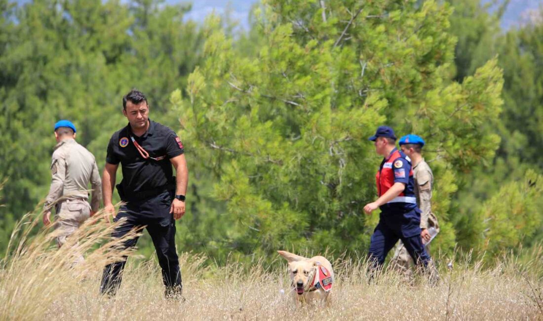 ANTALYA’NIN SERİK İLÇESİNDE BULUNAN