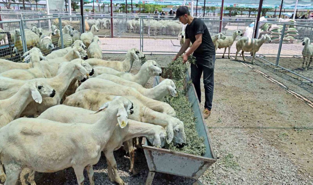 TALAS BELEDİYESİ’NİN REŞADİYE MAHALLESİNDEKİ