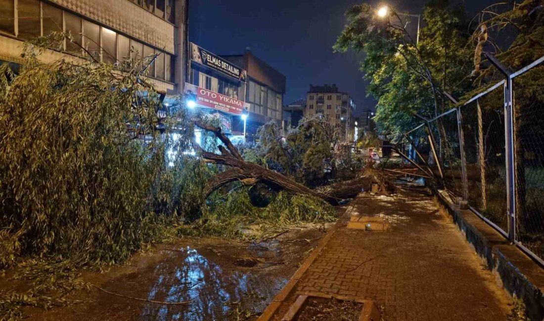 KAYSERİ'DE ETKİLİ OLAN ŞİDDETLİ