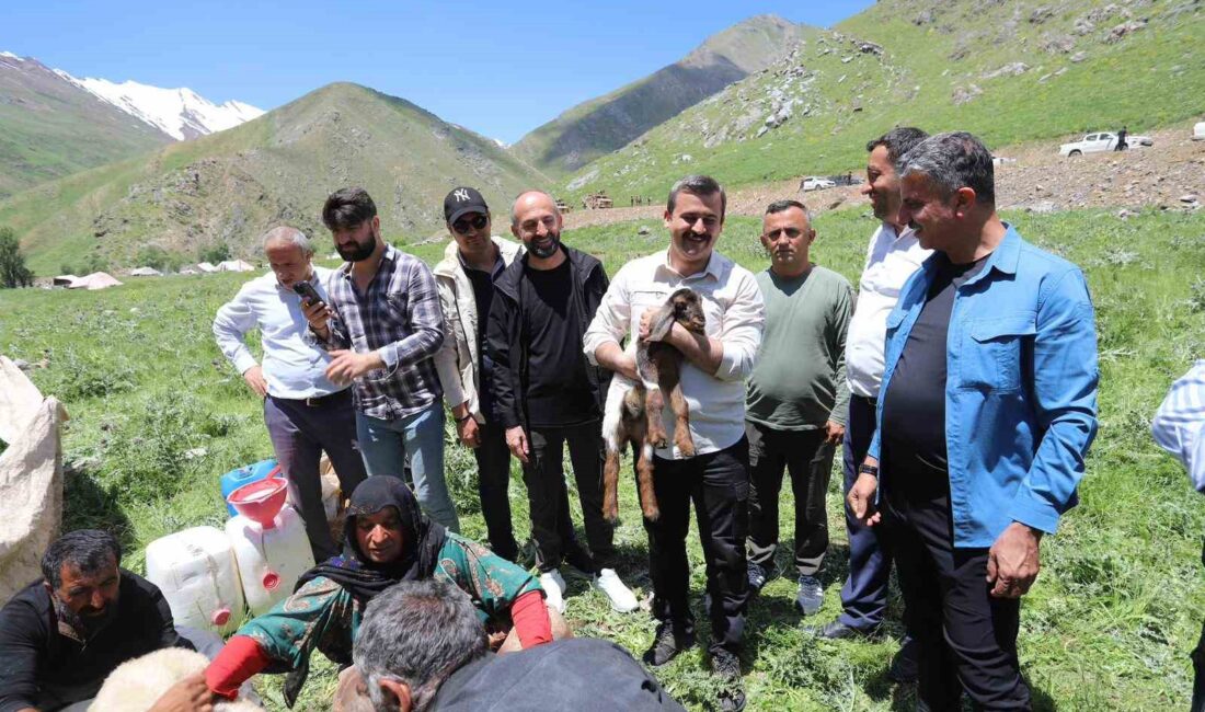 HAKKARİ’NİN ÇUKURCA İLÇESİNDE BU