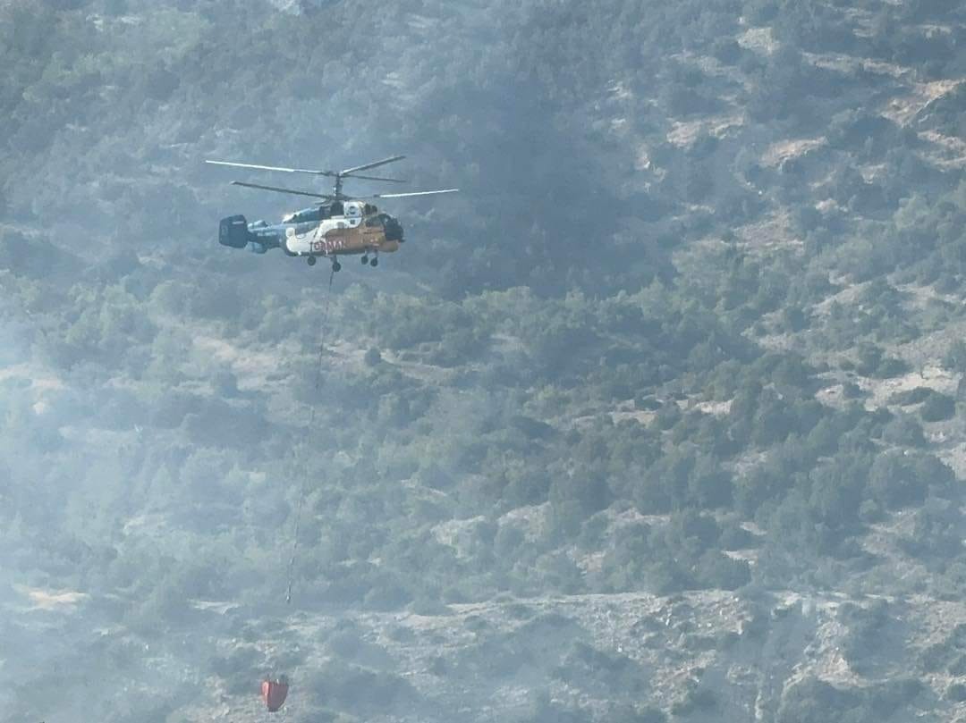 KKTC’deki orman yangınının nedeni belli oldu