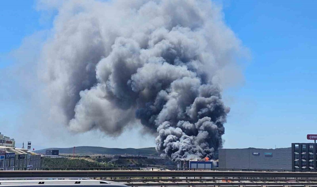 KOCAELİ'NİN ÇAYIROVA İLÇESİNDE BULUNAN