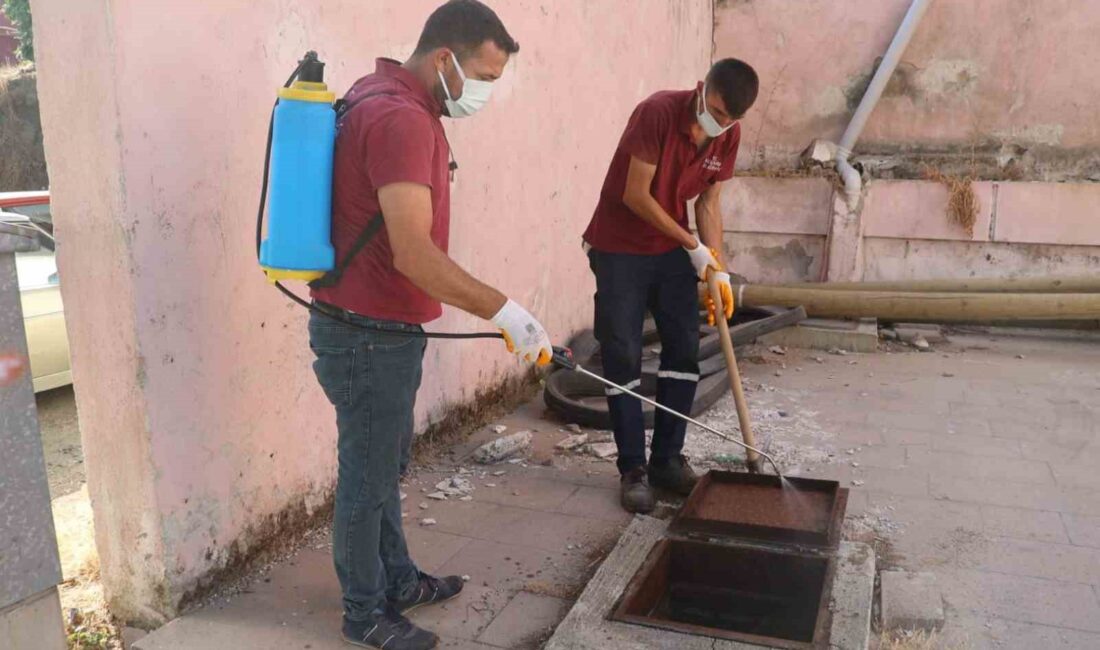 KOÇARLI BELEDİYESİ, SICAK HAVALARIN