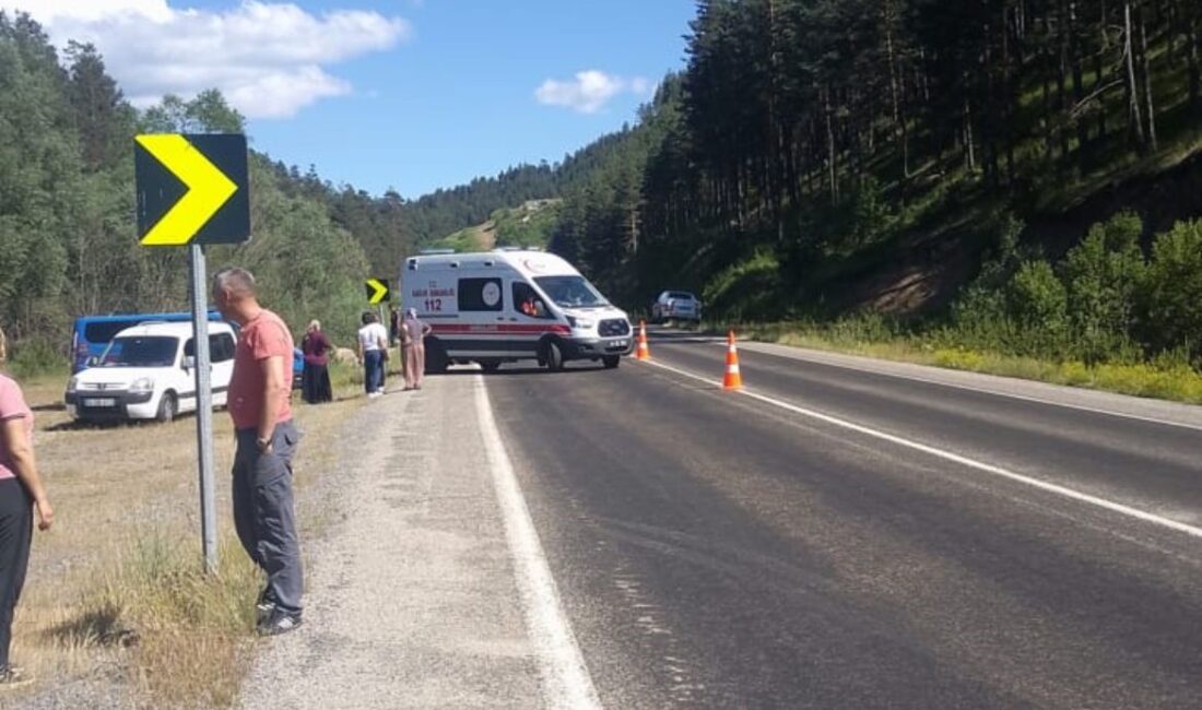 BOLU’DA SEBEN-KIBRISCIK İLÇELERİNİN YOL