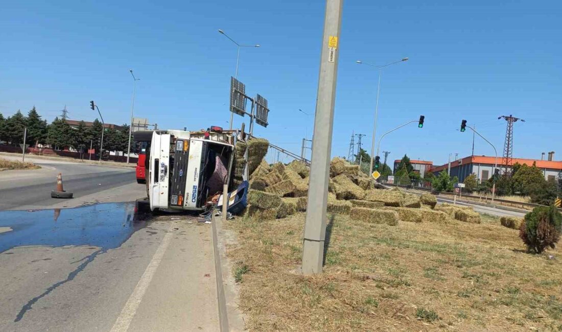 KIRKLARELİ'NİN LÜLEBURGAZ İLÇESİNDE KONTROLDEN