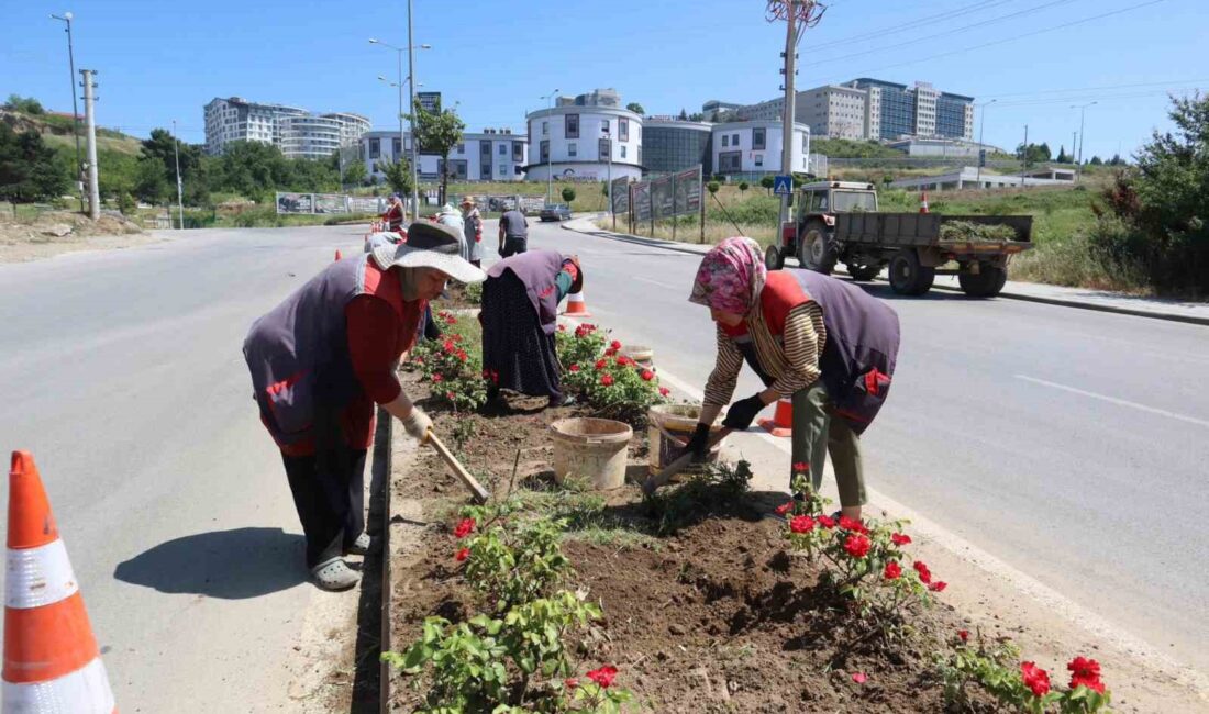 DÜZCE BELEDİYESİ KONURALP BÖLGESİNDE