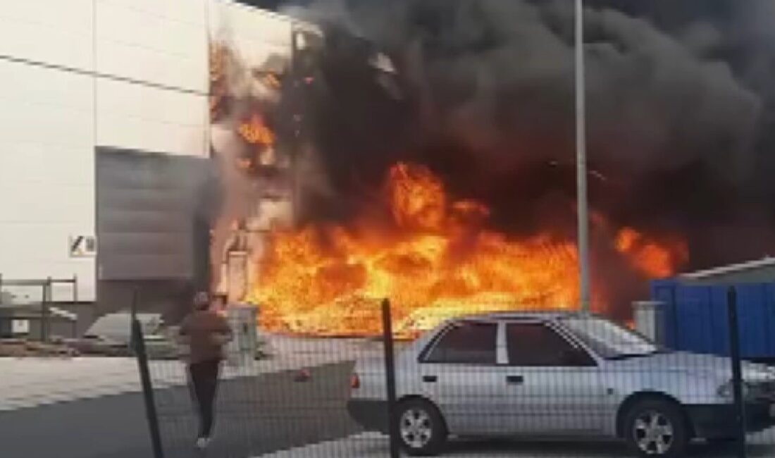 KONYA'DA SÜNGER ÜRETİMİ YAPAN