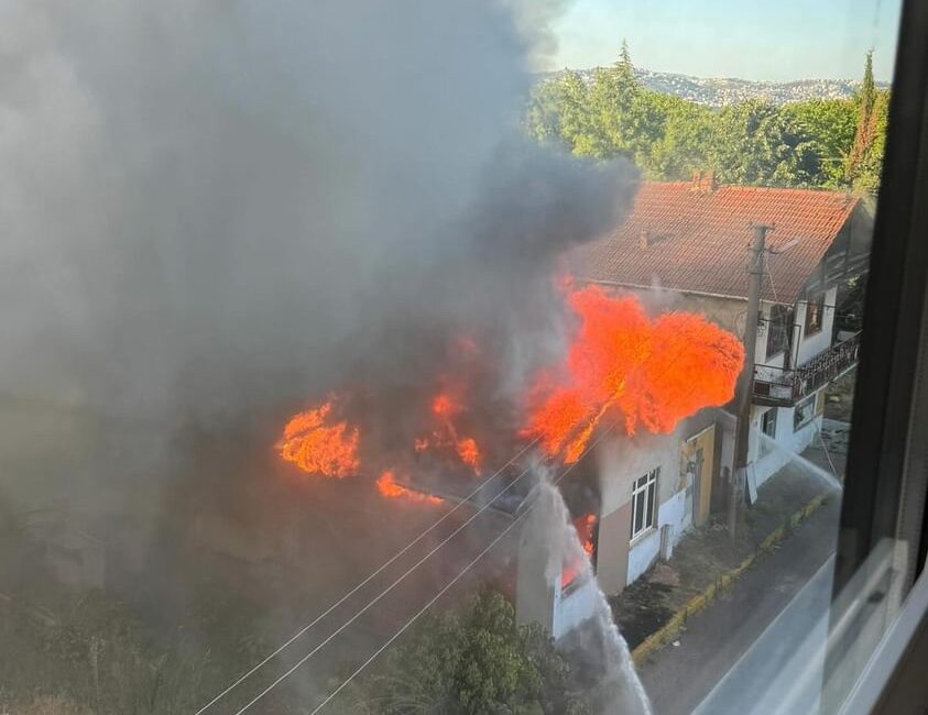 KOCAELİ’NİN GÖLCÜK İLÇESİNDE ÇIKAN