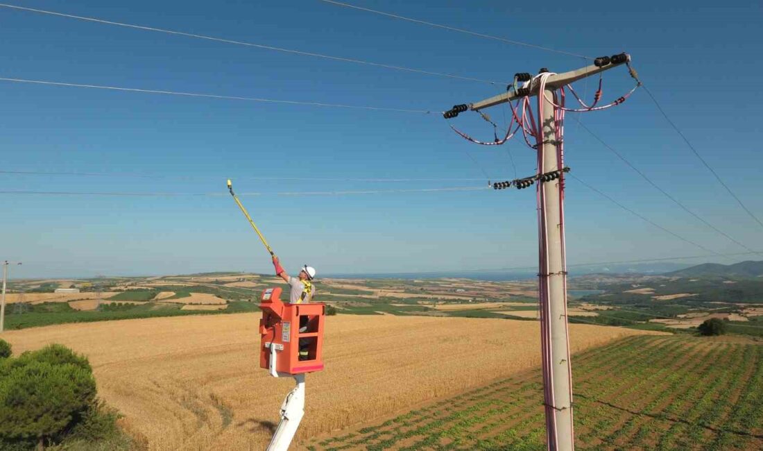 TRAKYA'DA 1.3 MİLYONDAN FAZLA